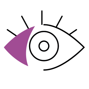 Visibilité